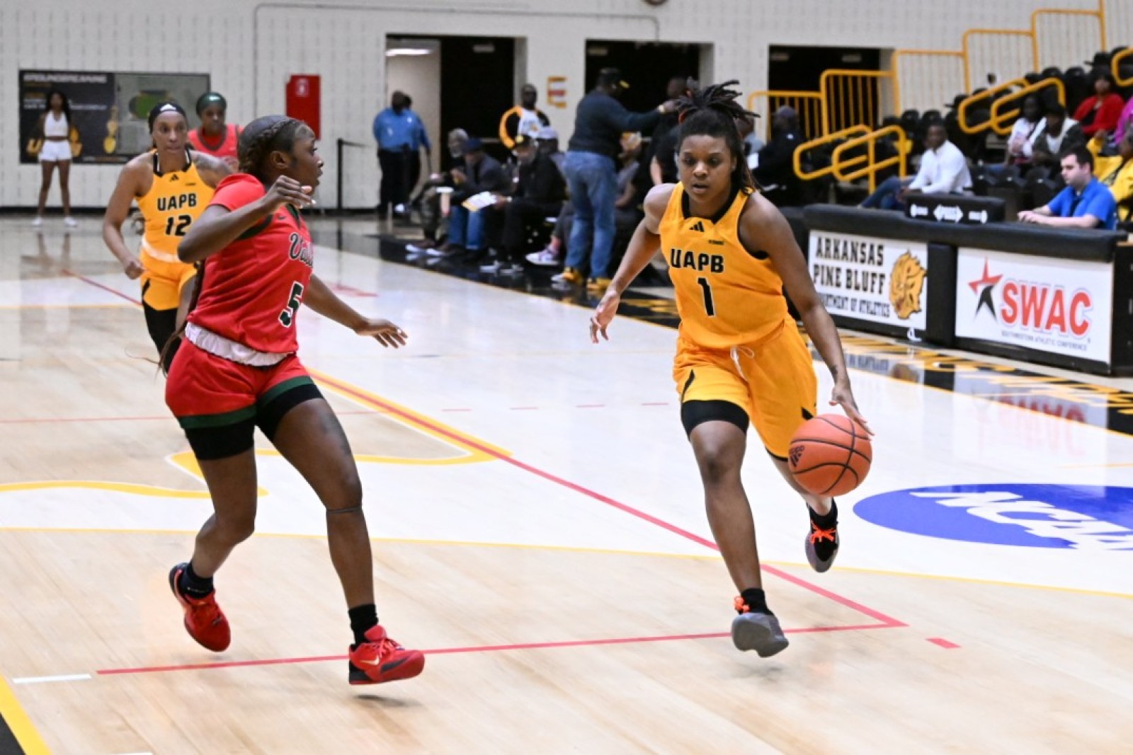 UAPB Lady Lions feast on turnovers in 68-39 home win over Mississippi Valley State