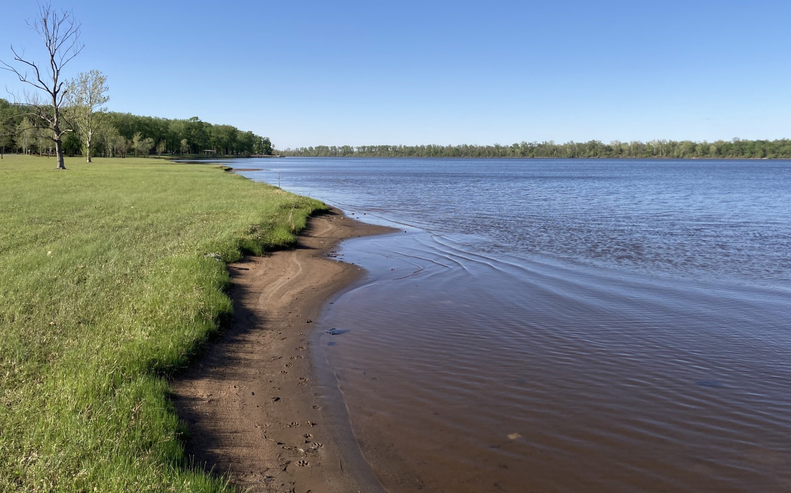 River port made Pine Bluff a 19th-century trade, travel hub
