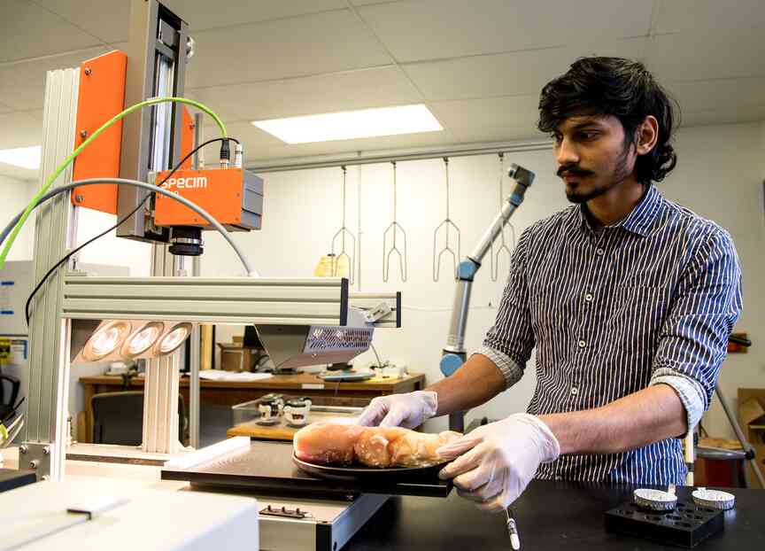 Chicken defect is focus of research