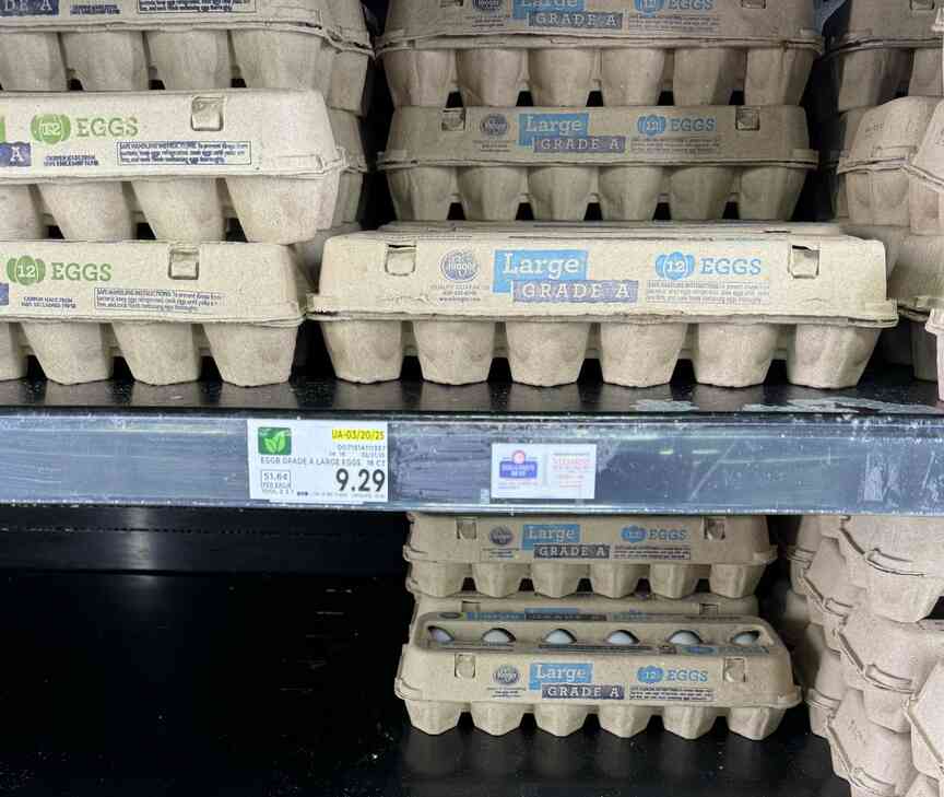 Experts tackle impact of bird flu on egg prices
