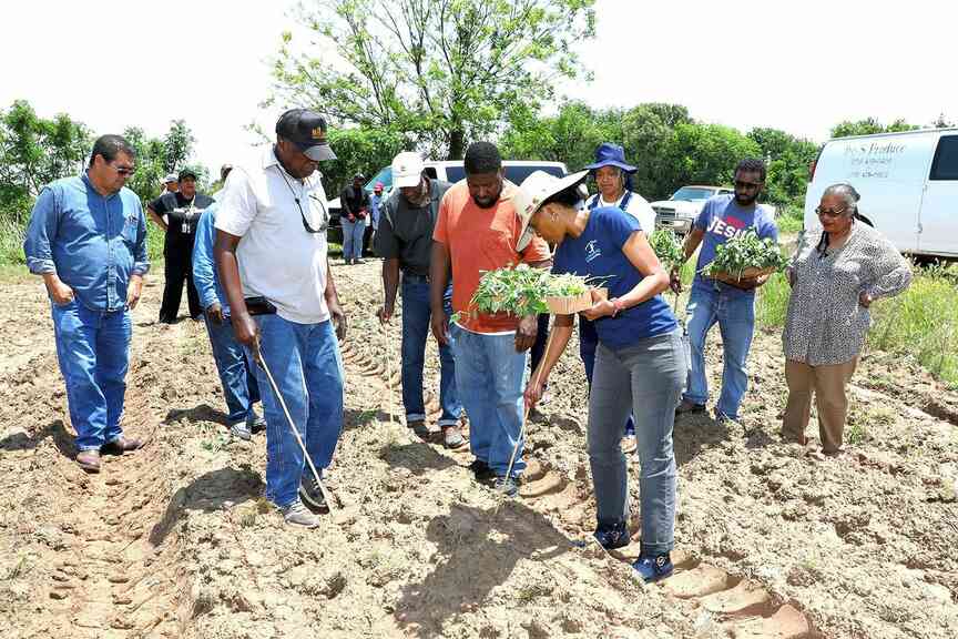 UAPB wins beginning farmers grant