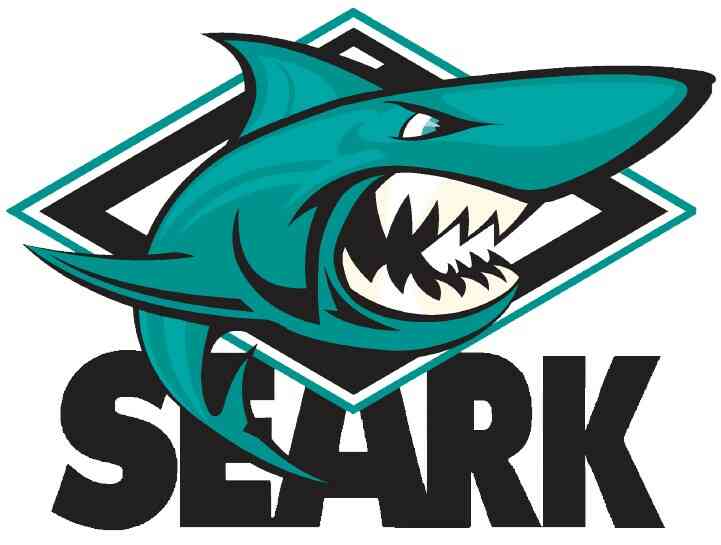 Tucker Hughes unveiled as softball head coach at SEARK