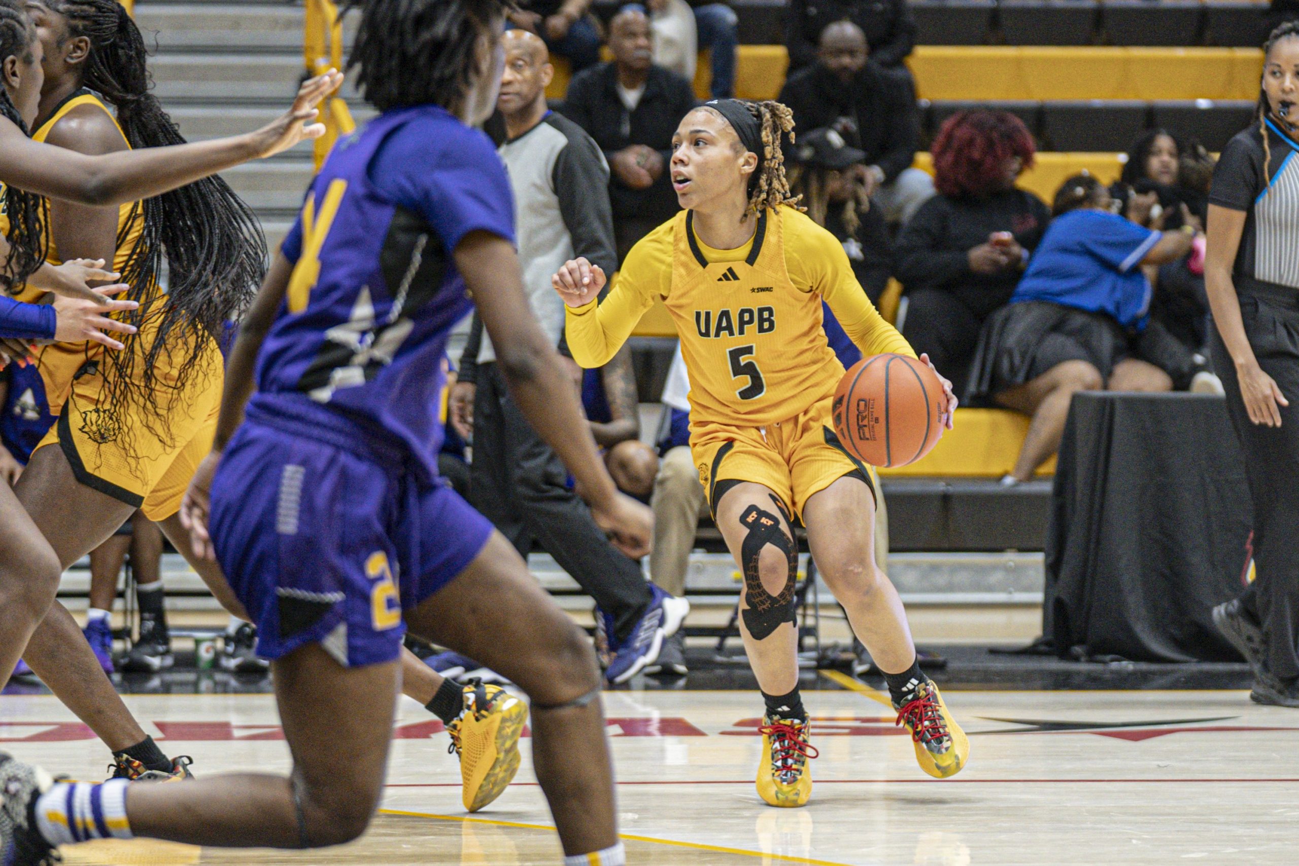 Lady Lions drop finale to Alcorn