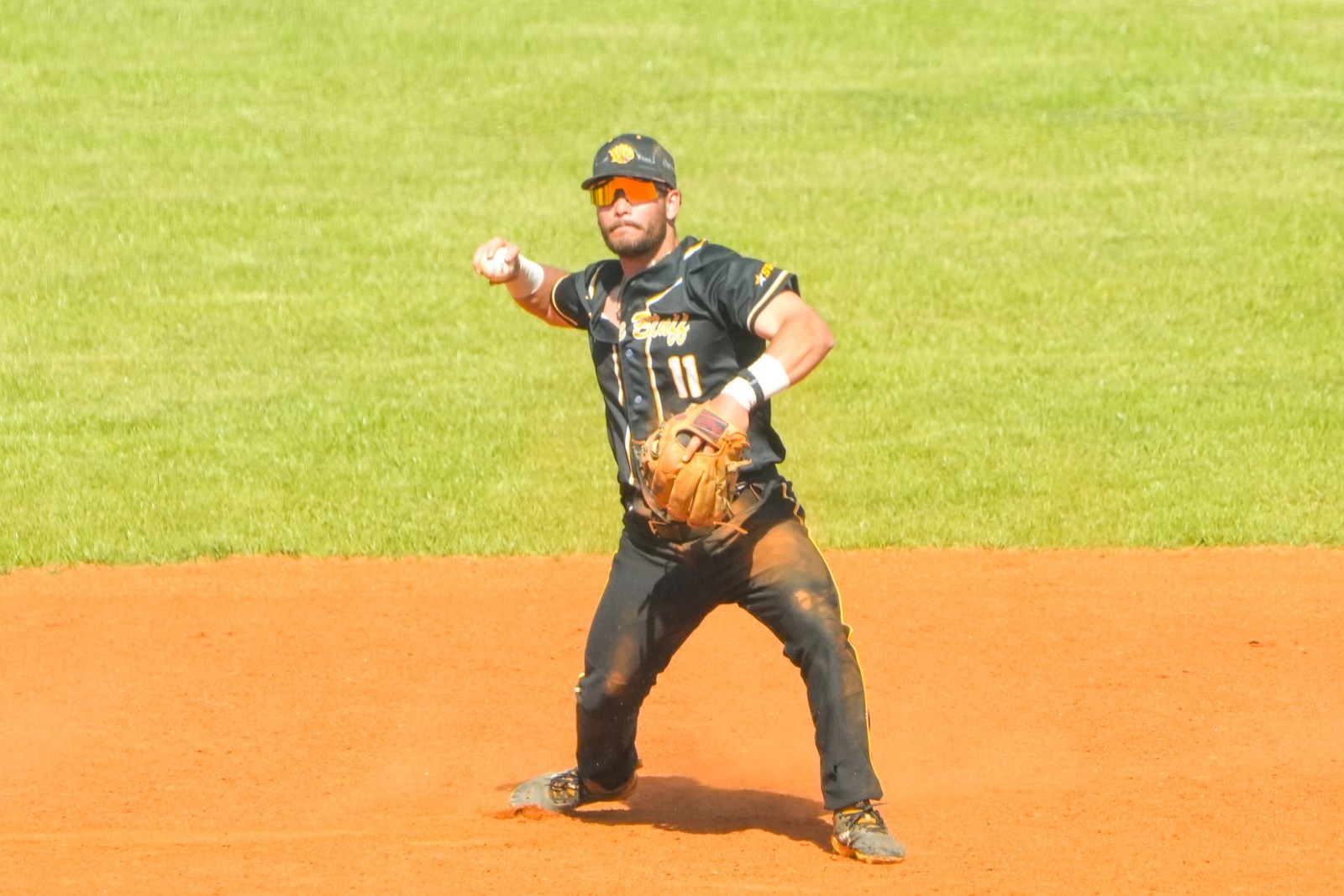 UAPB Golden Lions fall to Eastern Illinois in 7 innings, split 2-game series