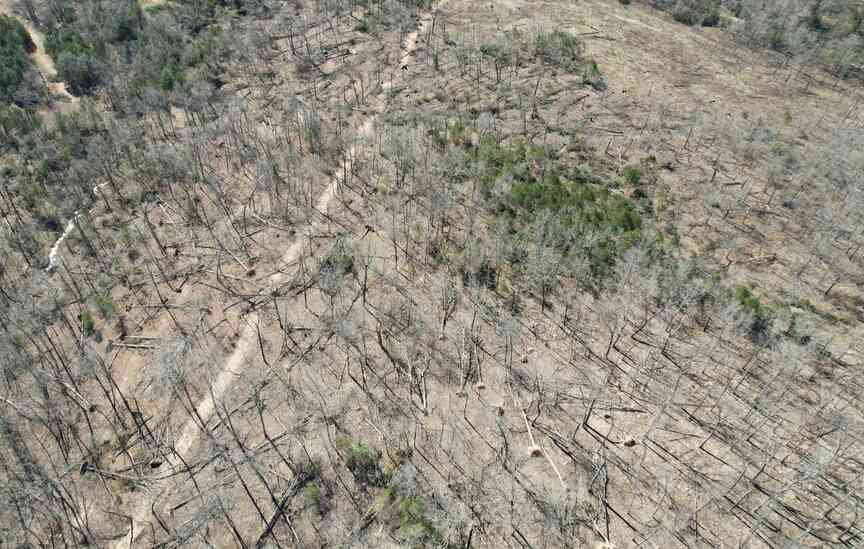 2 EF4 tornadoes leave hunting spots damaged