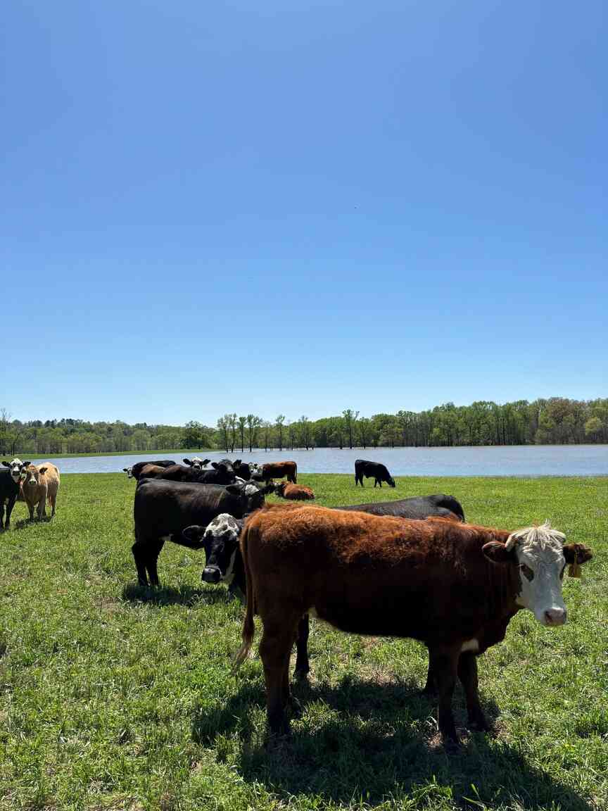 Farmers wait for floodwaters’ retreat