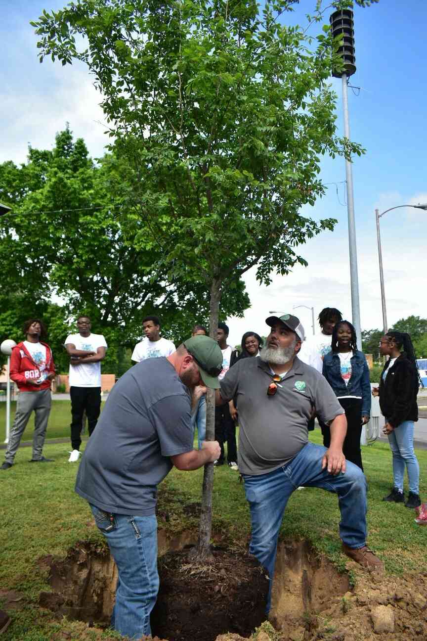 Pine Bluff high schoolers observe Arbor Day