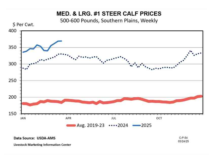 Steer prices rise to record highs