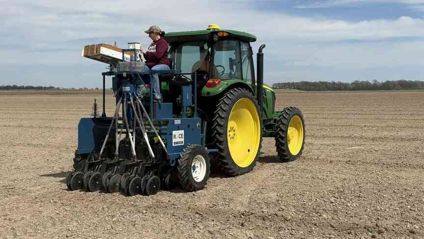 Rice farmers in Arkansas facing a choice