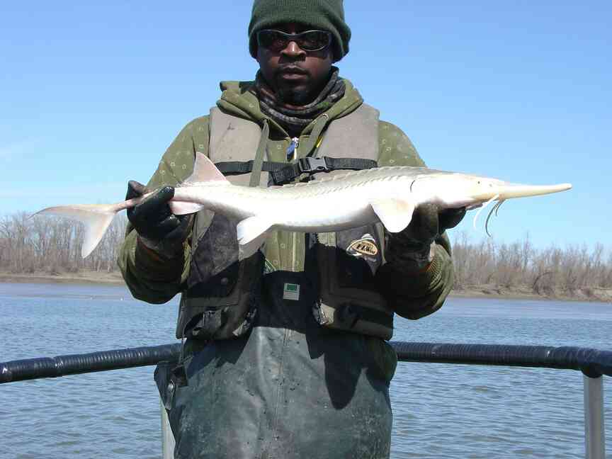 UAPB grad working as wildlife inspector