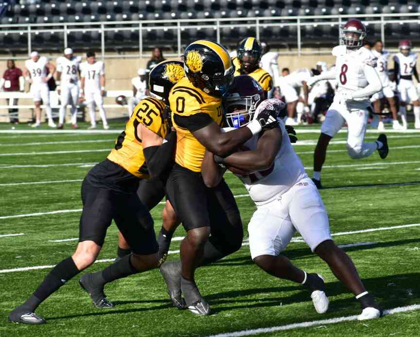 UAPB opponent preview: Texas Southern