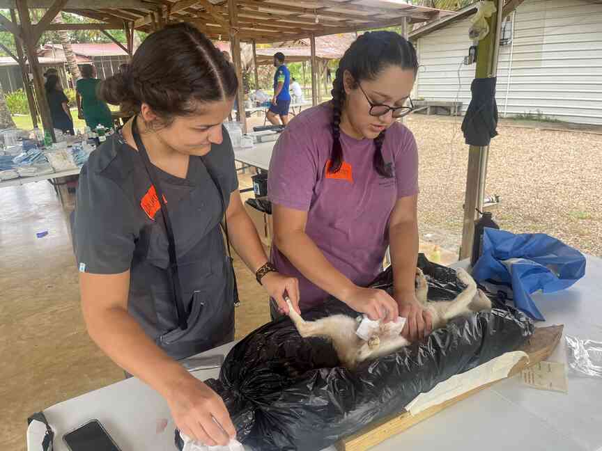 Two UA-Monticello students headed to LSU veterinary school