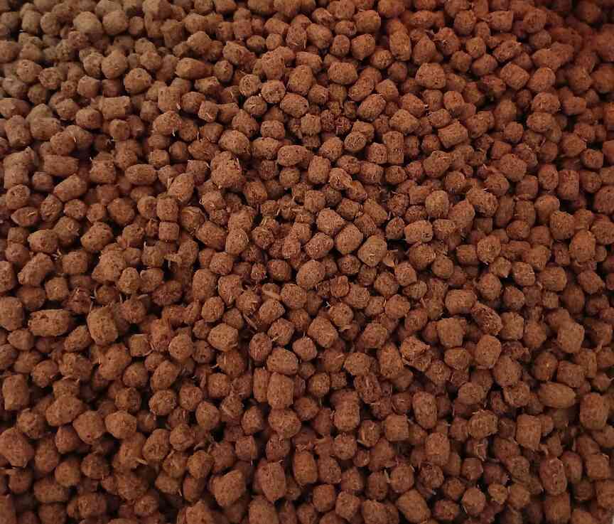 Fish feed aids growth in ponds, expert says