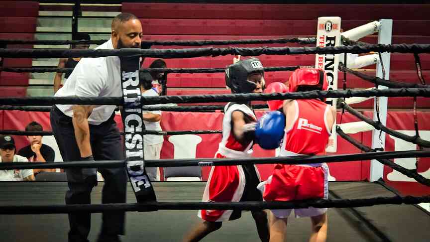 Boxers shine in Stuttgart tourney