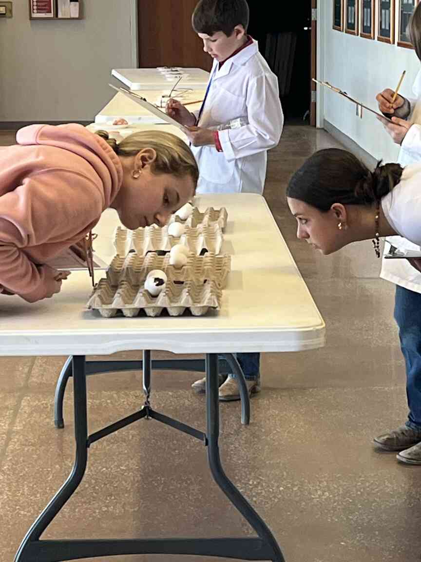 Arkansas 4-H teams test skills in poultry contest