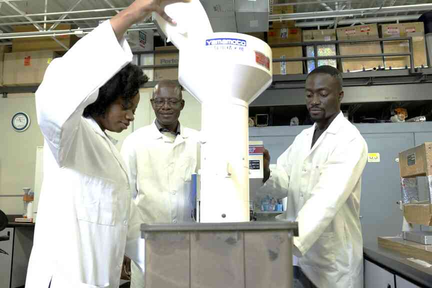 Rice mill lab analysis can help yield, quality