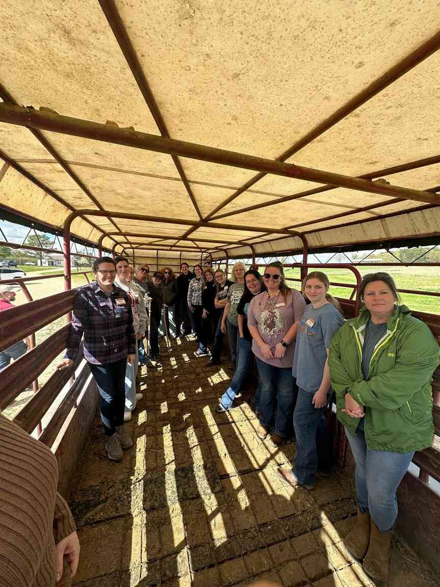 Extension service helps keep foreign objects out of beef production