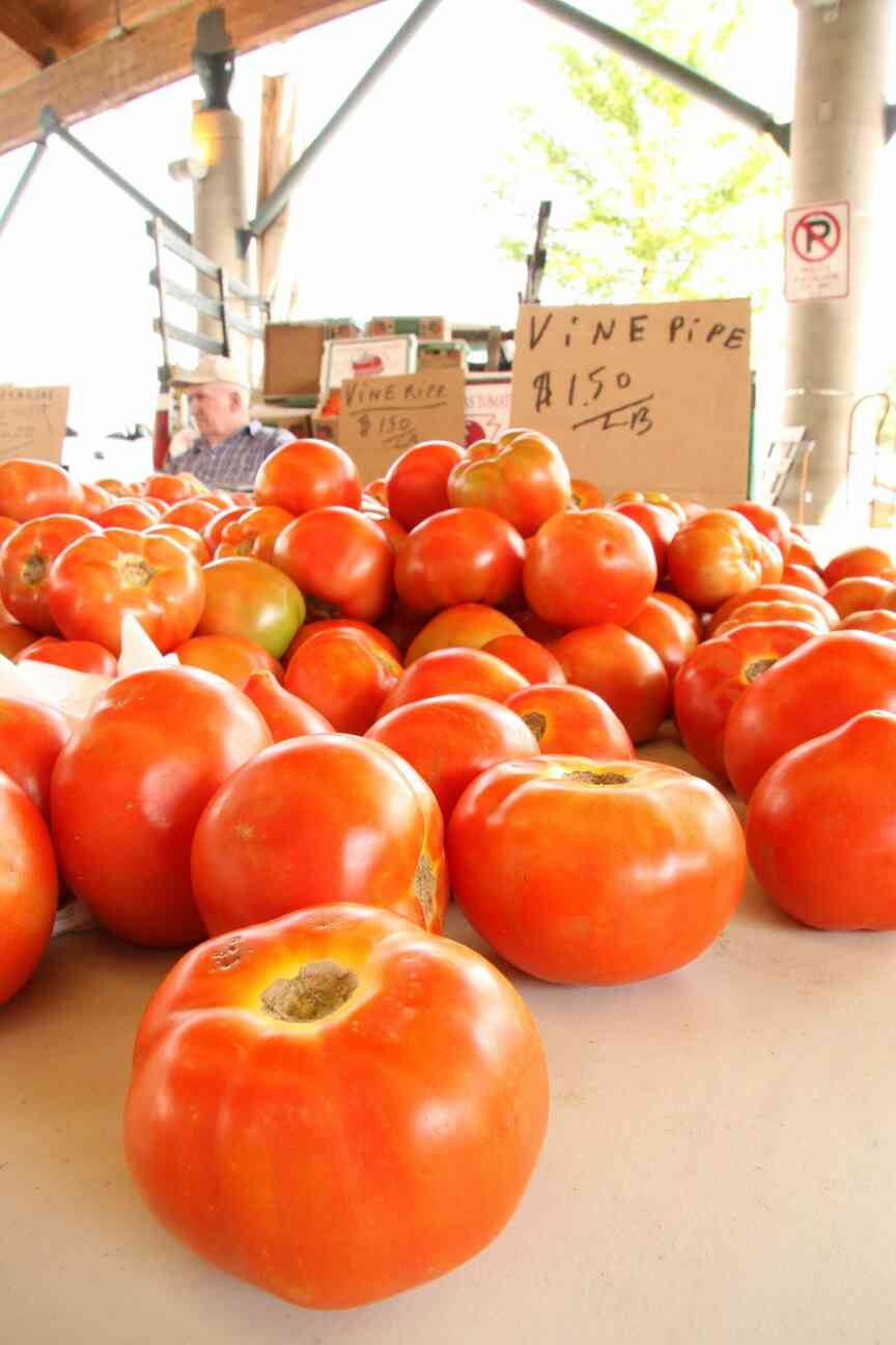 Don’t refrigerate tomatoes, expert says