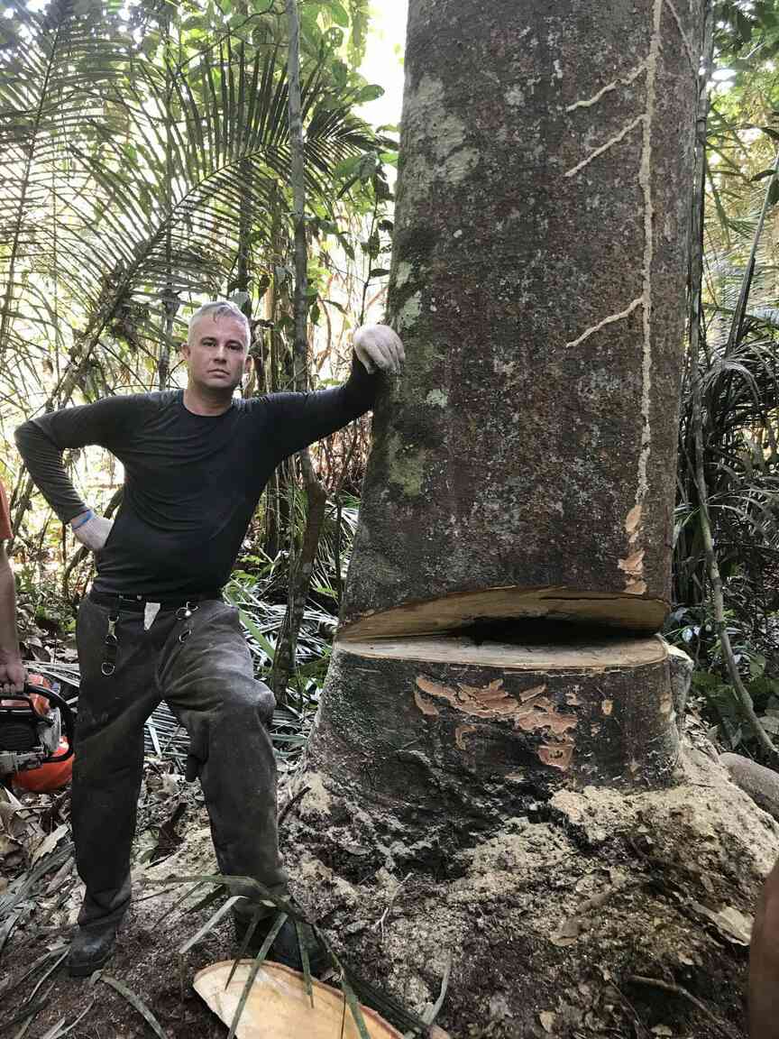 UAM welcomes forestry professor