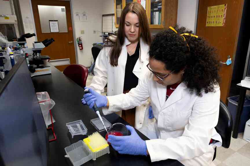 Poultry scientists say probiotics can disinfect hatch cabinets, help protect chicks