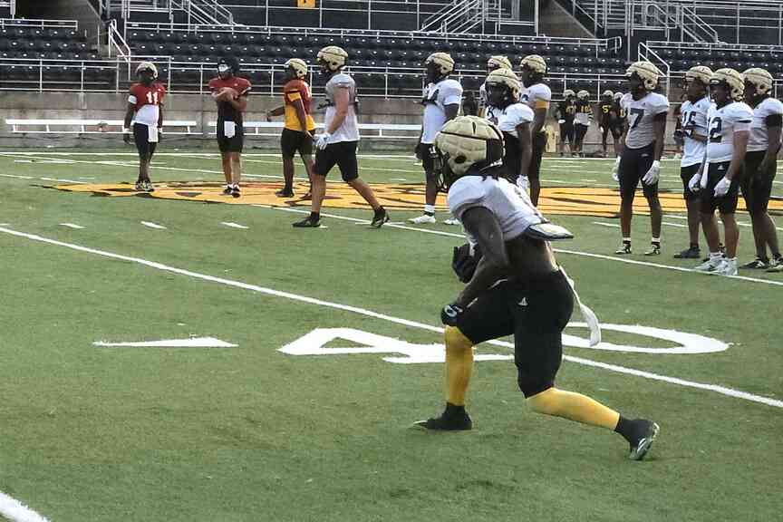 Golden Lions receivers look to step-up this fall