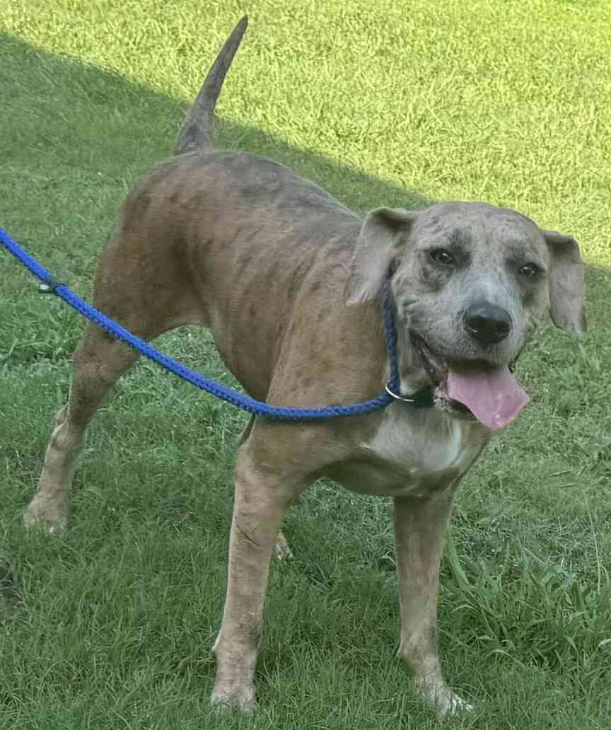 Meet Shiloh