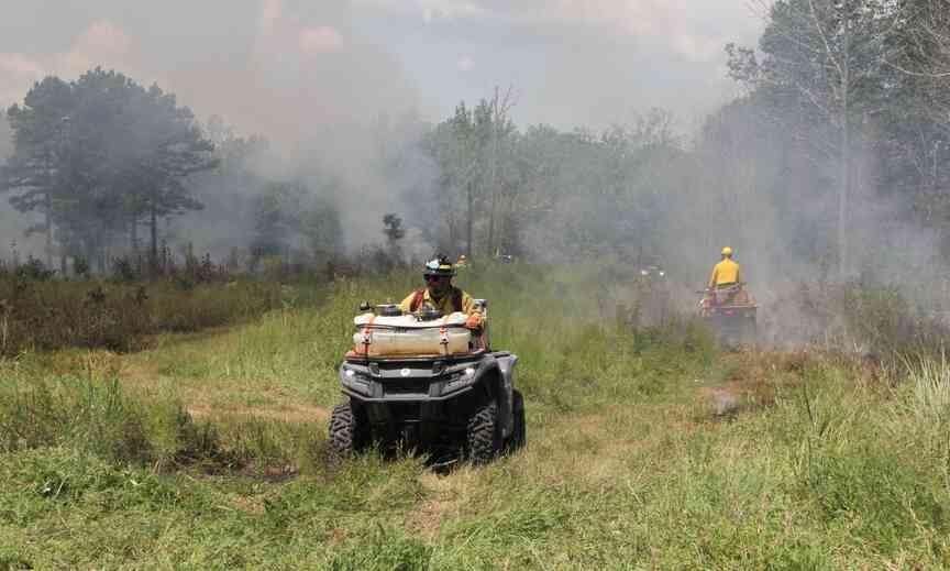 AGFC summer burn targets invasive plants
