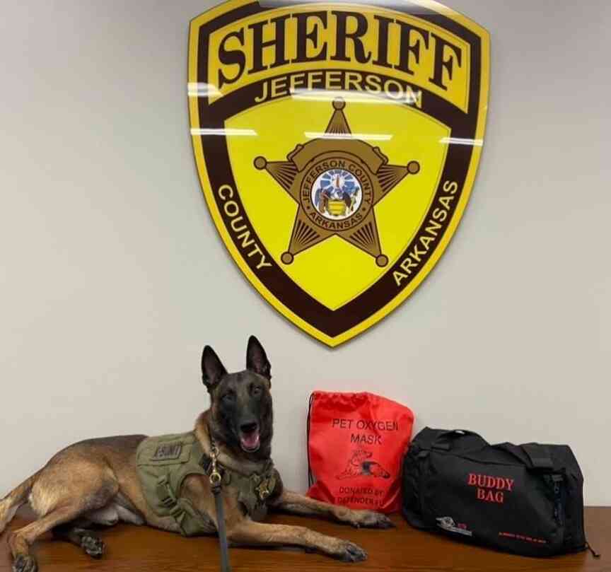 Deputy K-9 retires from law-dog duties