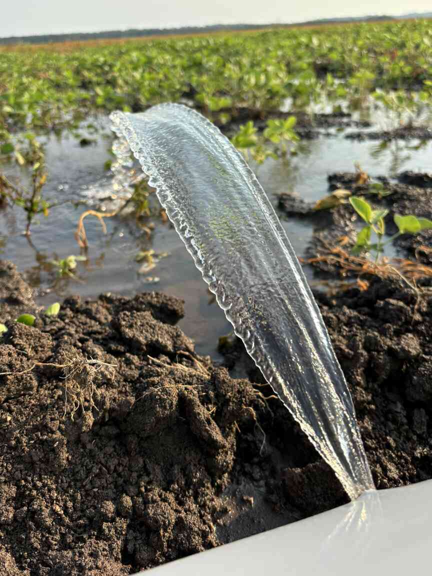 Corn and peanut acres increasing; soybeans falling