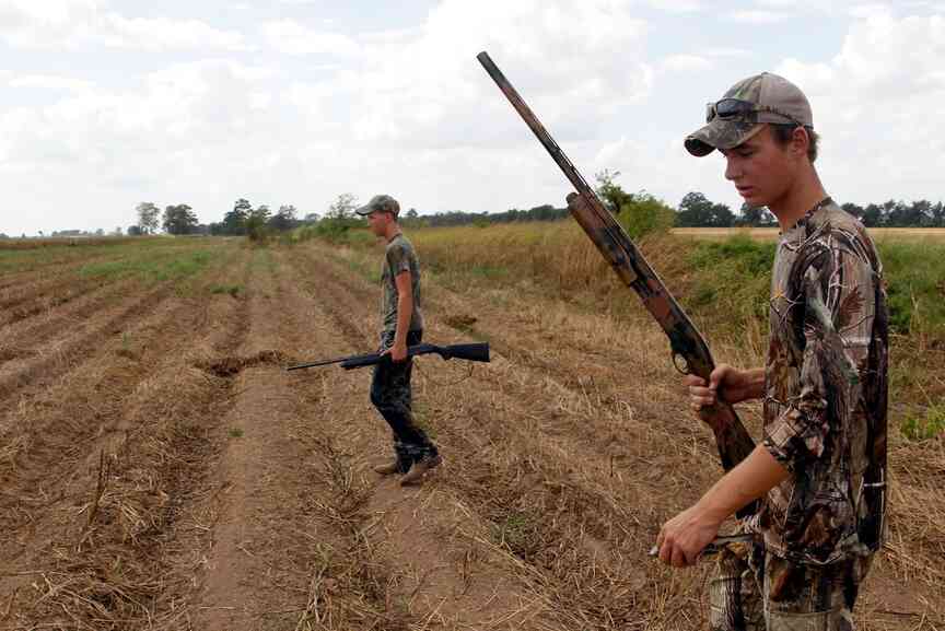 Know dove bait limits before season begins