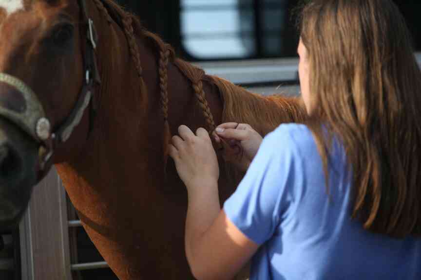 Horse show brings 4-H riders together