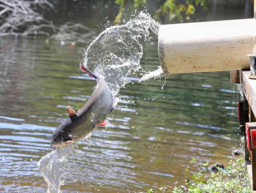 AGFC to host Osceola fishing derby