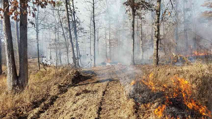 Firebreaks are a major tool for battling blazes