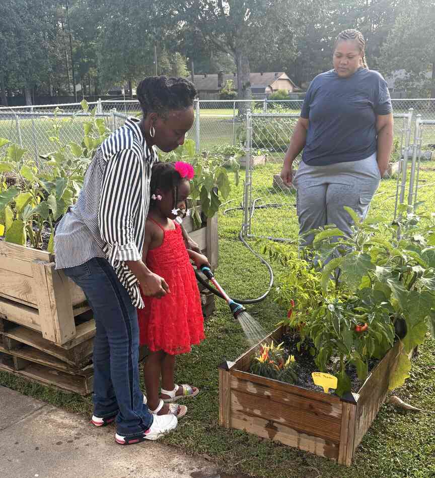 UAPB helps launch gardening initiative to grow vegetables, nurture family bonds