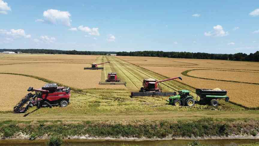 Analysis details farms’ looming losses