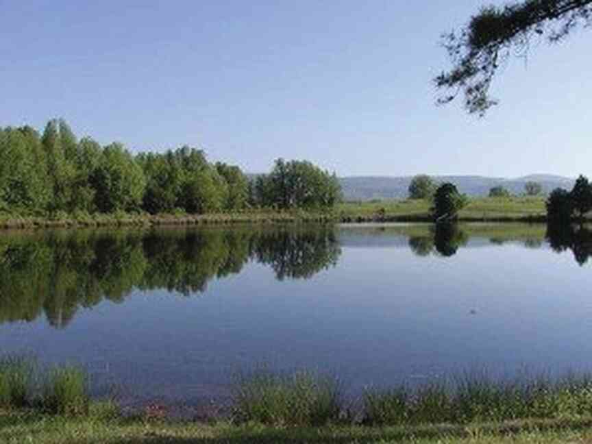 Pond owners warned to prepare for turnovers, prevent fish kills