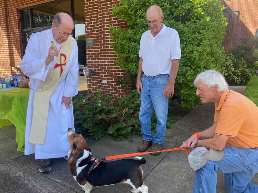 Church, shelter animals blessed