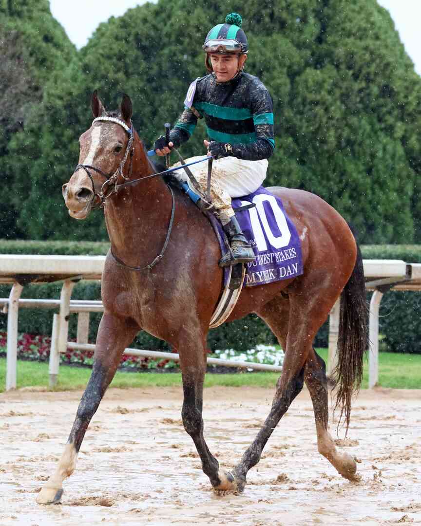Blackout Time scratched from Breeders’ Cup; Mystik Dan faces similar fate