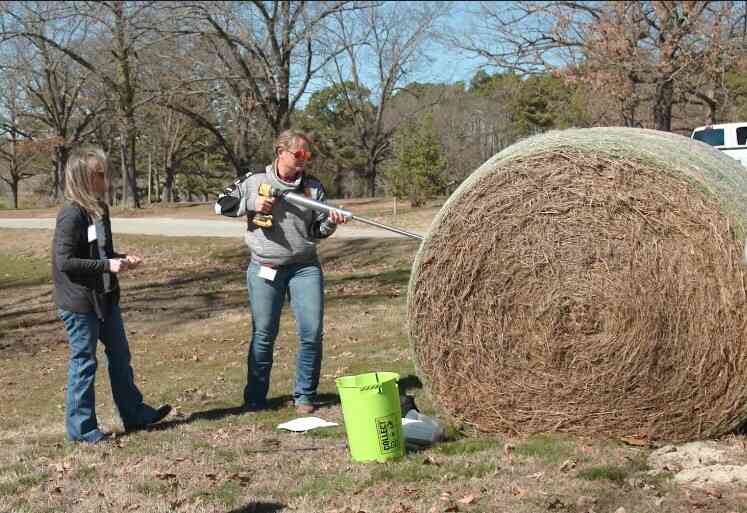 Livestock owners urged to test hay for nutrition