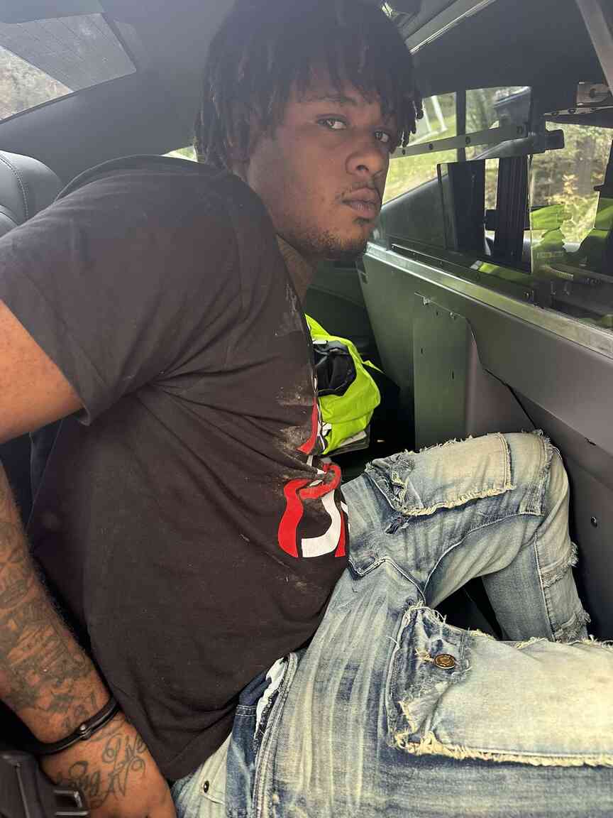 Male connected to killing of Stuttgart teen apprehended