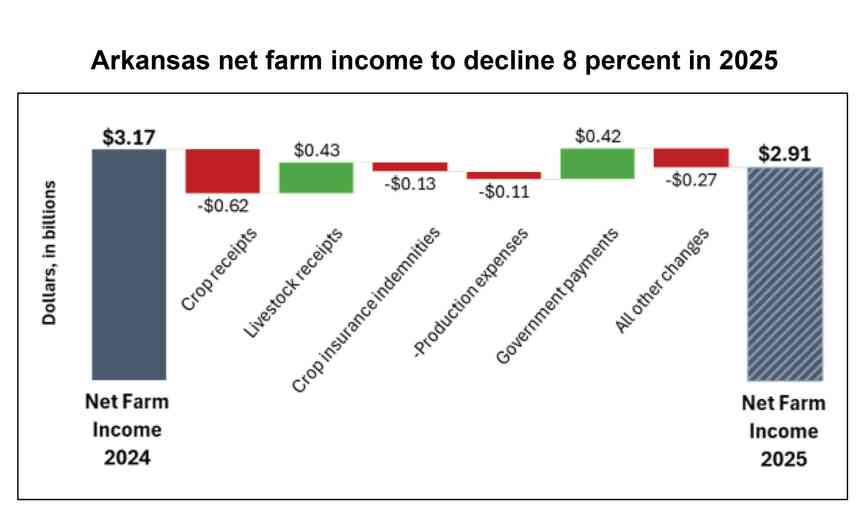 Arkansas’ net farm income forecast to fall 8% in 2025