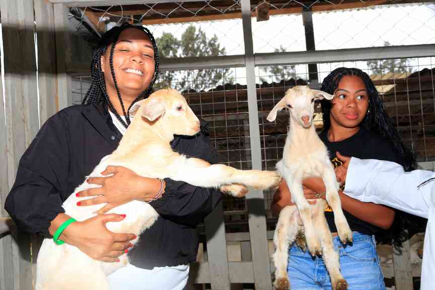 University students attend agriculture program in Kenya