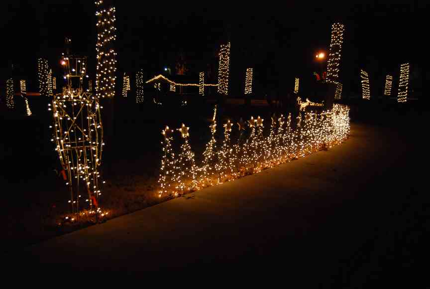 Stars light up White Hall park