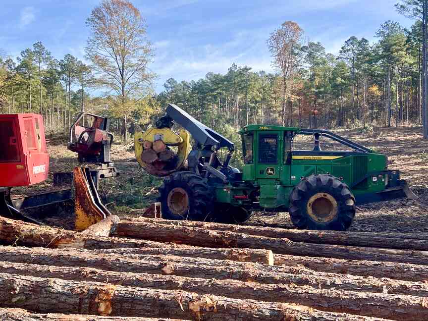Arkansas’ timber industry going strong despite lower prices