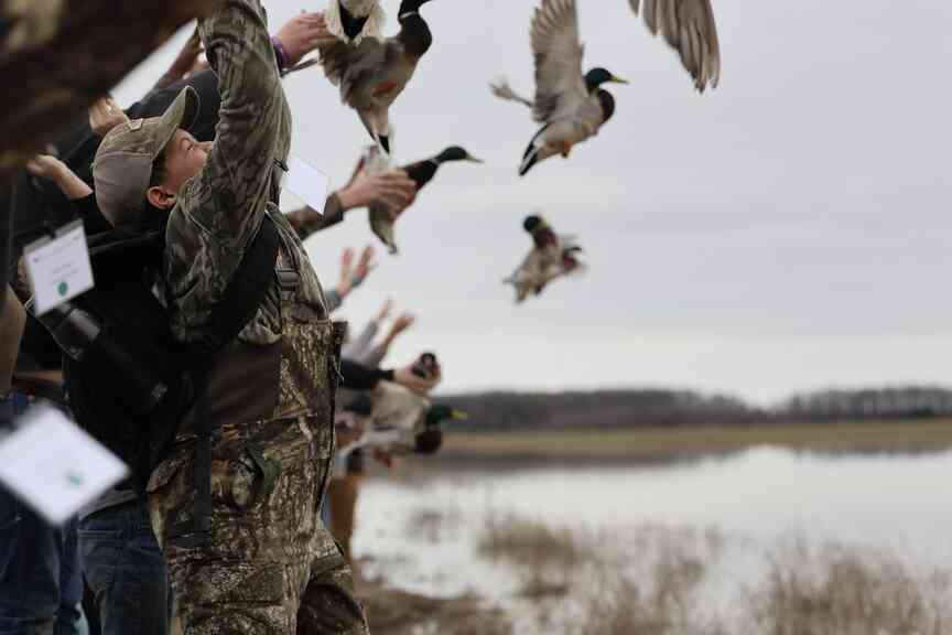 Hands-on workshop in Howard County to center ducks