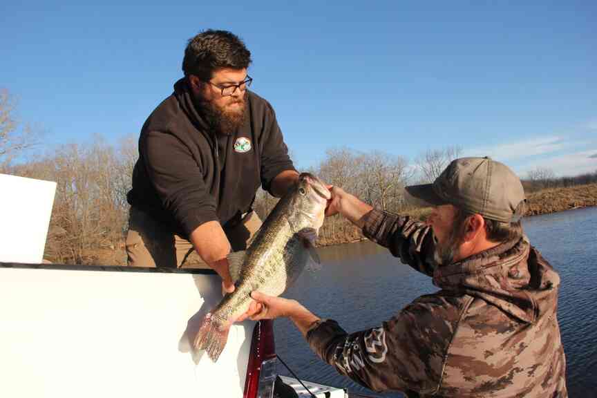Jonesboro angler catches Arkansas’ first Legacy Lunker bass