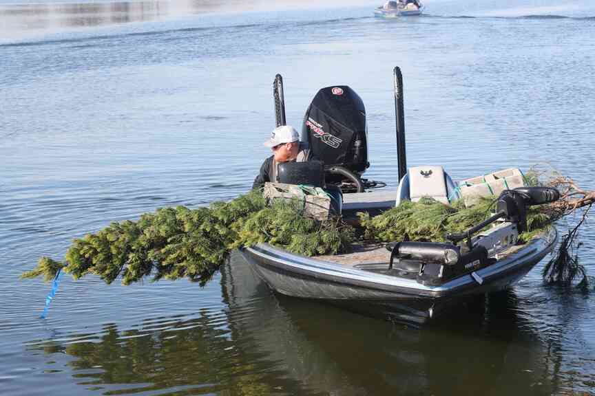 Seasonal changes alter fish behavior