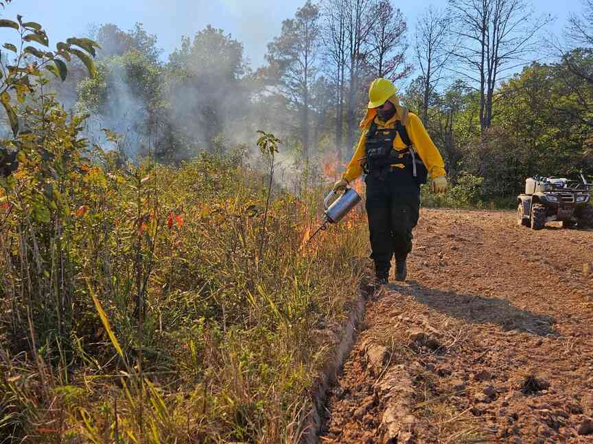 Selective burns aid wildlife habitats