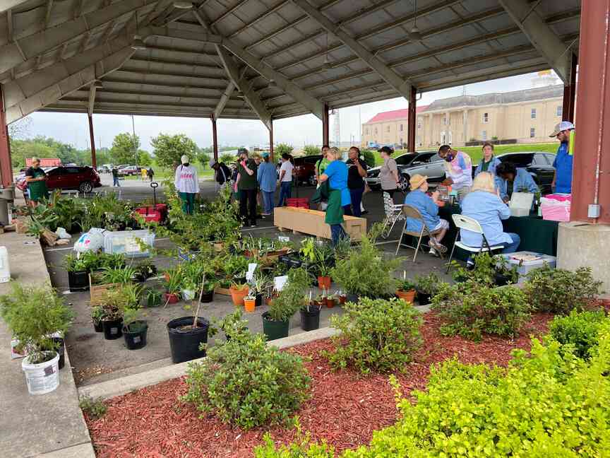 Master Gardeners preparing for sales